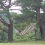 2009_0810_1552250001.jpg