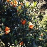 20120416_123521.JPG