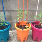 20120426_124357.JPG