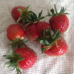 20120602_132114.JPG