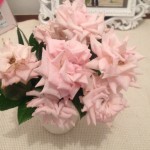 20120711_141921.JPG