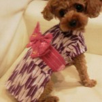 2012072516480000.jpg
