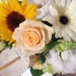 20120826_091845.JPG
