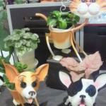 201208271542000.jpg