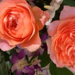 CYMERA_20120825_112627.jpg