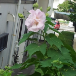 20120903_105157_1.png