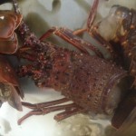 20120907_085236.JPG