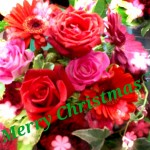 2012-12-24-23-55-54_deco.jpg