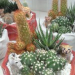 201212101444000.jpg
