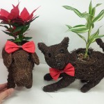 20121219_180539.jpg