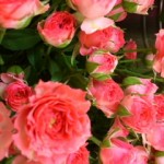 CYMERA_20120825_2033370001.jpg