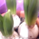 130124_1348~010001.jpg