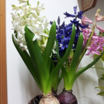 20130123_233647_1.png