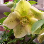 20130125_212729_1.png