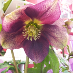 20130125_212741_1.png