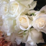 20130128_115355.JPG