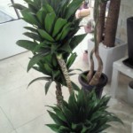 201301301532000.jpg