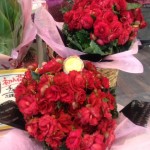 20130201_163522.JPG