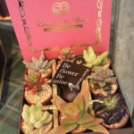 201302061254000.jpg