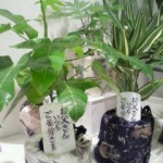 201306071538000.jpg