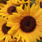 20130627_203517_1.png