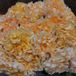 20130628_162701_1.png