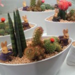 201307051052000.jpg