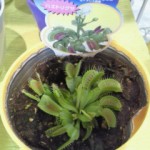 201307171425000.jpg