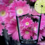 20130824_191056.JPG