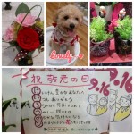 20130912_060319.JPG
