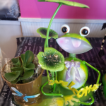 20130925_113520_1.png