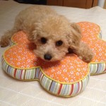 20131124_153759.JPG