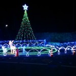 DSC_0037.jpg