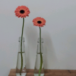 20140107_192339_2_1.png