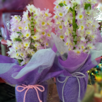 20140118_115025_1.png