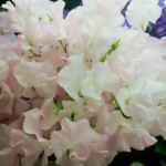 20140217_215846_1.png