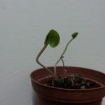 20140227_234007_1.png