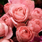 20140312_100116_1.png