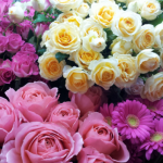 20140313_145210_1.png