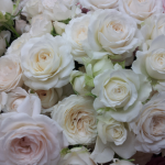 20140529_155630_1.png