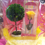 20140611_155107_1.png