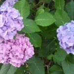 20140612_175141.jpg