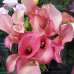 20140616_145939_1.png