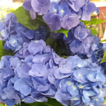 20140616_204539_1.png