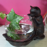20140623_121251_1.png