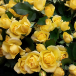 20140625_214320_1.png