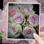img1402065129390_1.png