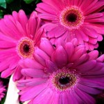 IMG_0034.jpg