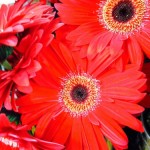 IMG_3211.jpg