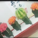 LINEcamera_share_2014-09-02-18-54-08.jpg
